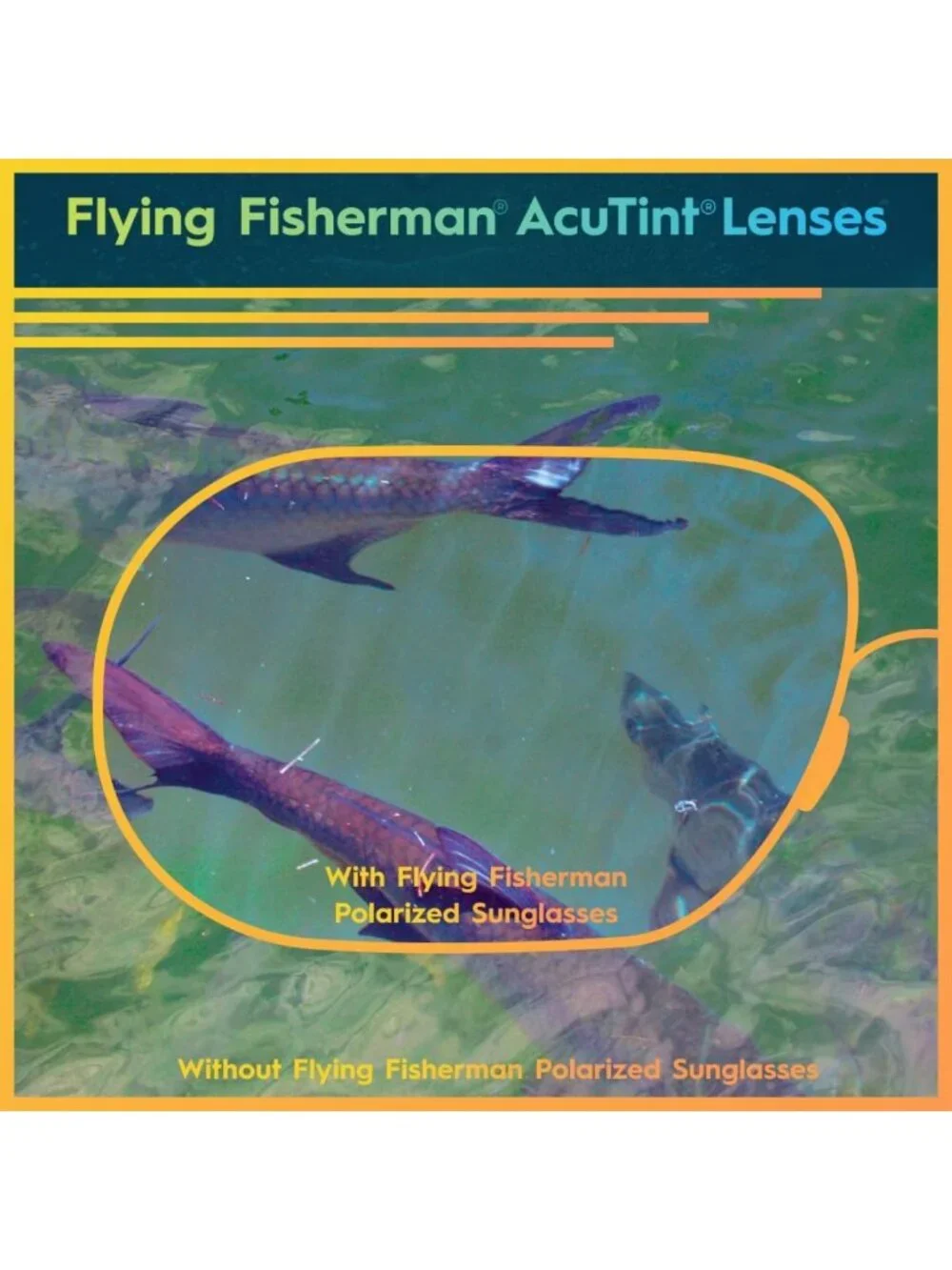 Polarized Fishing Sunglasses with UV Protection & AcuTint for Outdoor Sports